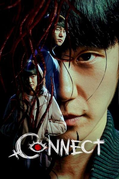 File:Connect.jpg